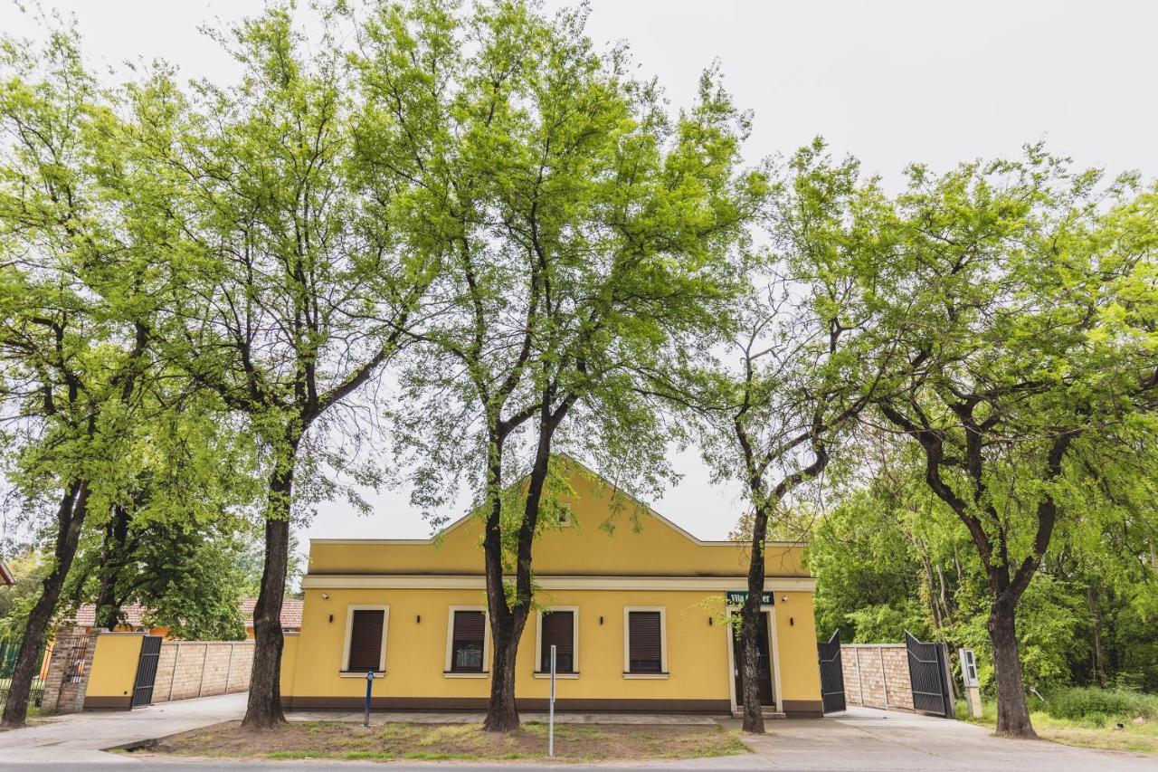 Vila Guliver Палич Екстер'єр фото